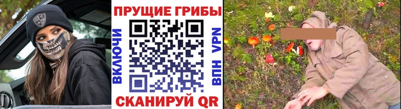 где можно купить   площадка какой сайт  Псилоцибиновые грибы MAGIC MUSHROOMS  Коряжма 