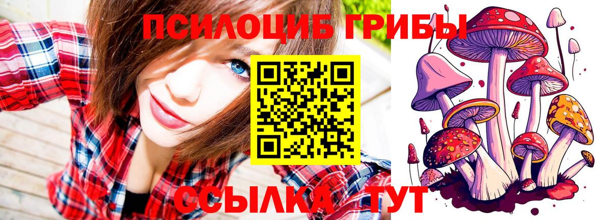 где продают наркотики  Псилоцибиновые грибы мицелий  Вход с VPN  Коряжма 