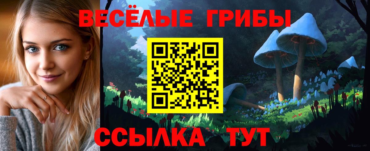 Псилоцибиновые грибы Magic Shrooms Коряжма